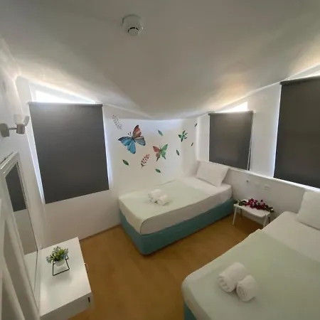 Memory Apart * シダ